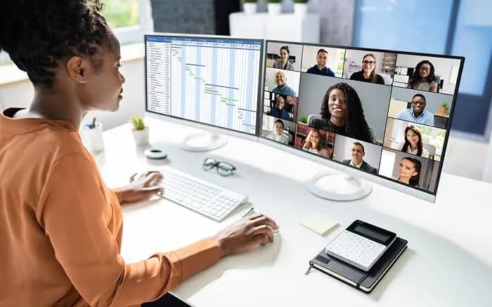 Remote workers in Zimbabwe